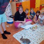 phoca_thumb_m_agamy krlk zajci 47 Fotogalerie